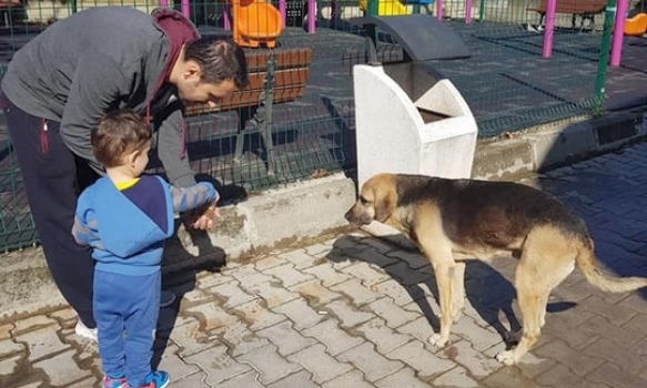 Minik öğrencilere hayvan sevgisi aşılandı