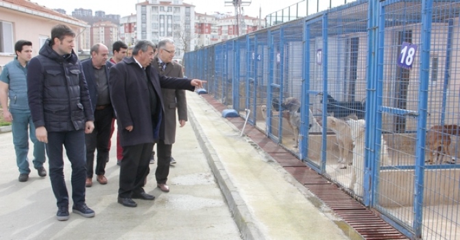 ÇOSB’den hayvan barınaklarına destek