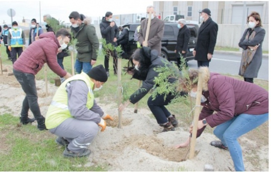 ÇOSB, bünyesindeki her öğretmen adına bir fidan dikti